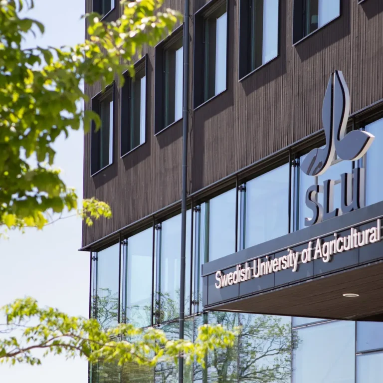 Fotografi på SLU kontor i Uppsala